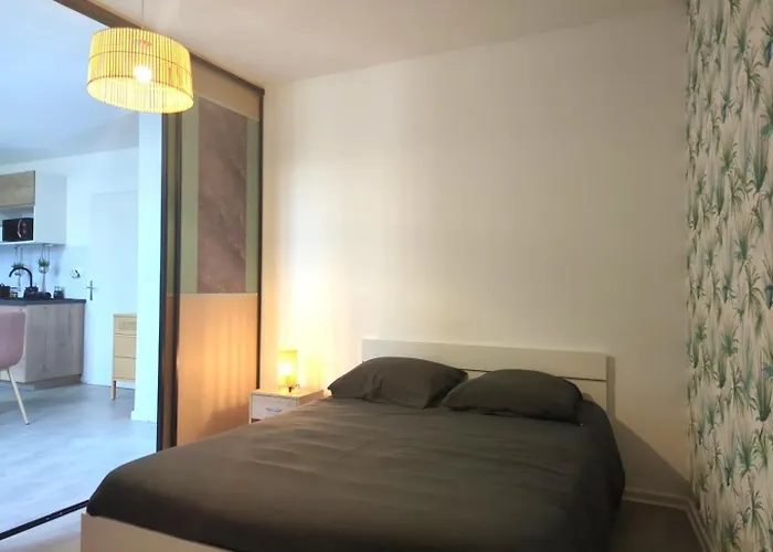 Bel Appartement Meximieux Centre Ville 2 Chambres