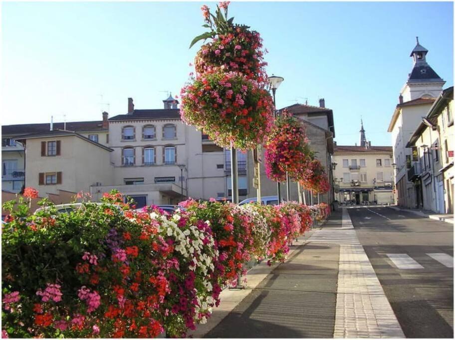 Bel Centre 2 Appartement